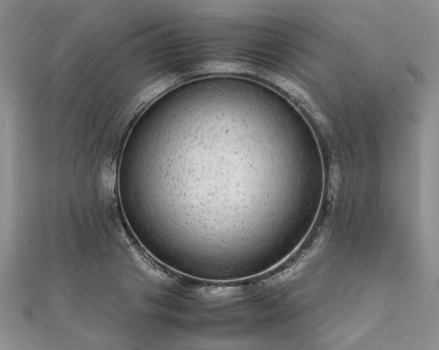 X0000111840841200907301048