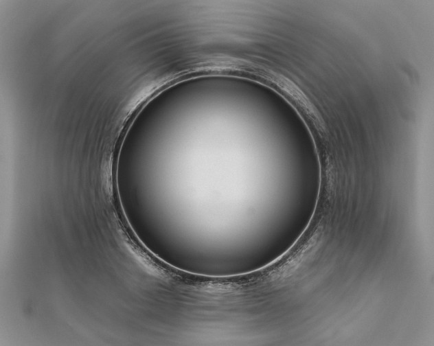 X0000111840842200907301048