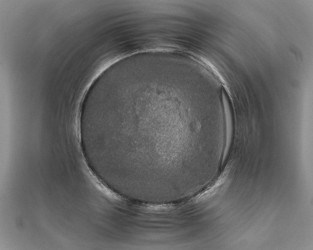 X0000111840843200907301048