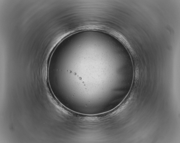 X0000111840844200907301048