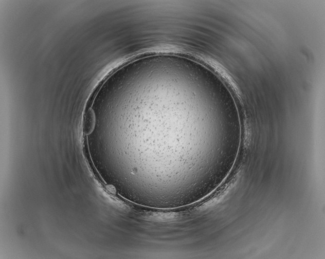 X0000111840845200907301048