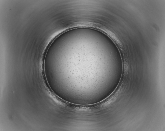 X0000111840846200907301048