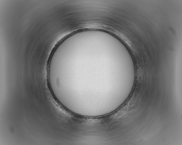 X0000111840848200907301049