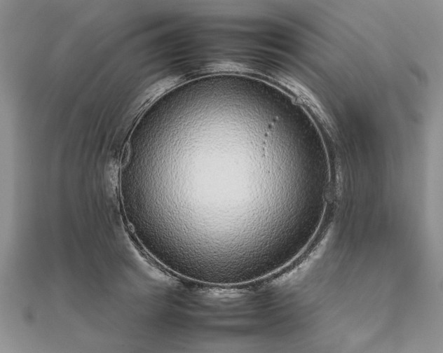 X0000111840849200907301049