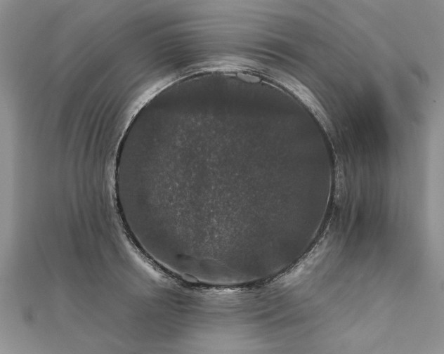 X0000111840850200907301049