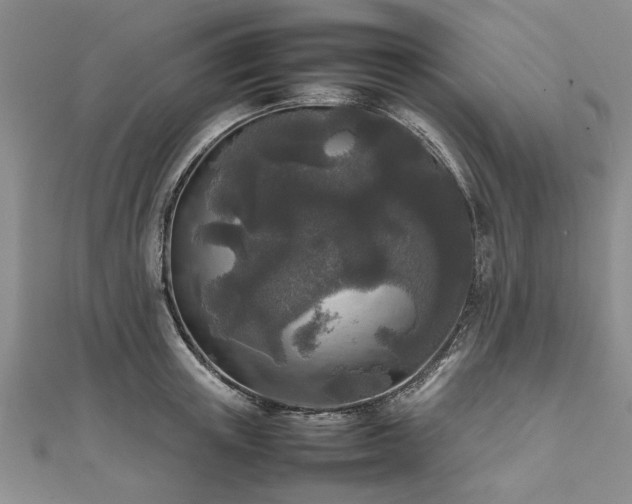 X0000111840851200907301049