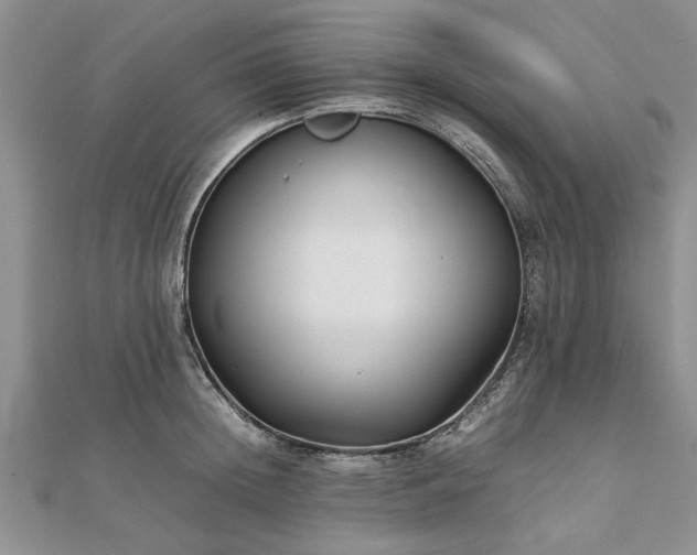 X0000111840852200907301049