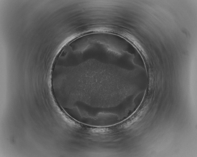 X0000111840853200907301049