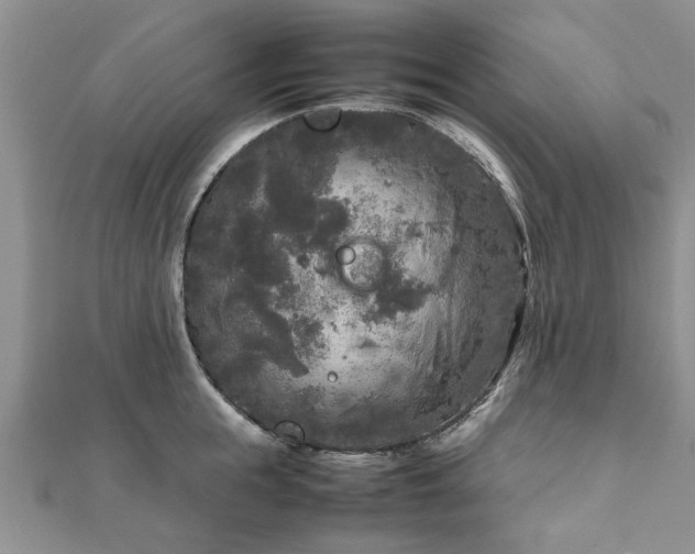 X0000111840855200907301049