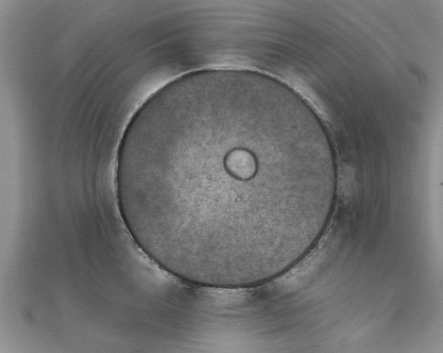 X0000111840856200907301049