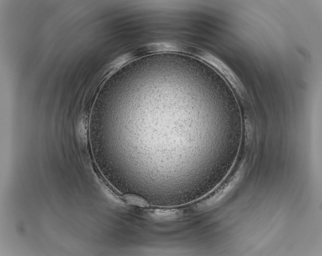 X0000111840857200907301049