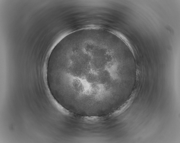 X0000111840859200907301049