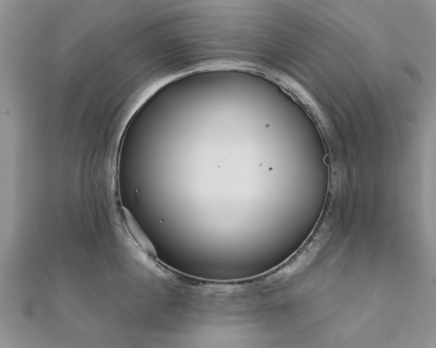 X0000111840860200907301049