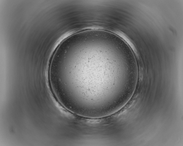 X0000111840861200907301049