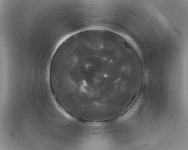 X0000111840862200907301049