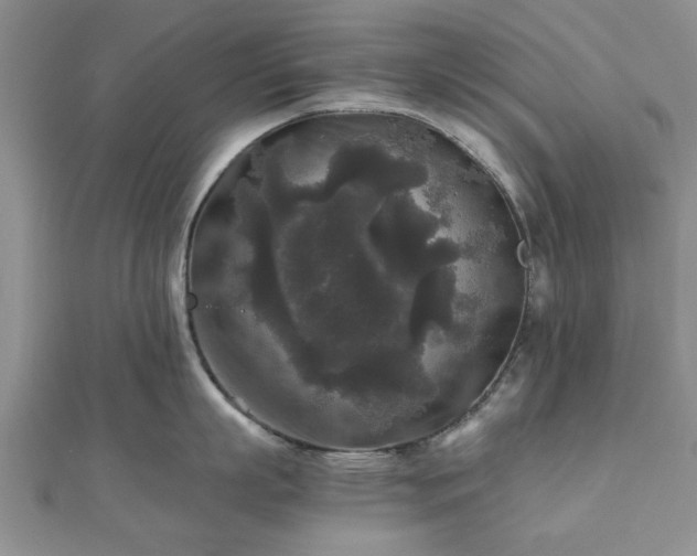 X0000111840863200907301049