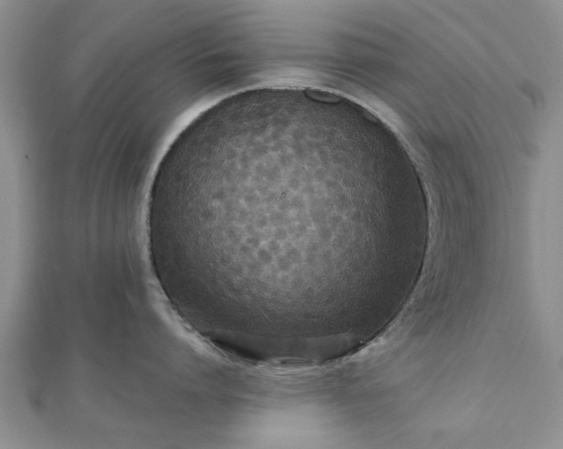 X0000111840864200907301049