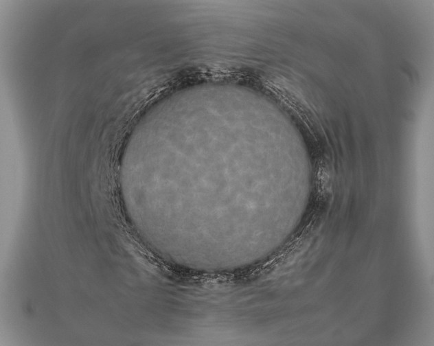 X0000111840865200907301048