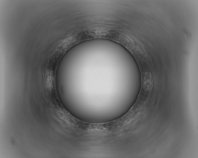 X0000111840866200907301048