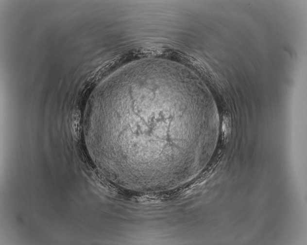 X0000111840867200907301048