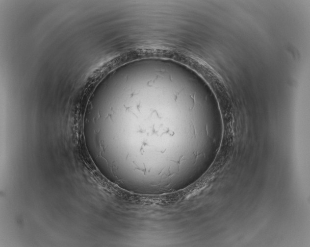 X0000111840870200907301048