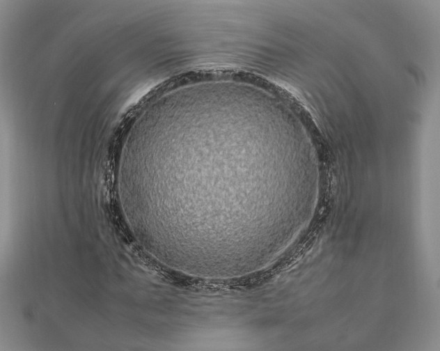 X0000111840871200907301048