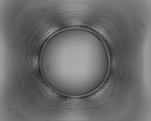 X0000111840873200907301048