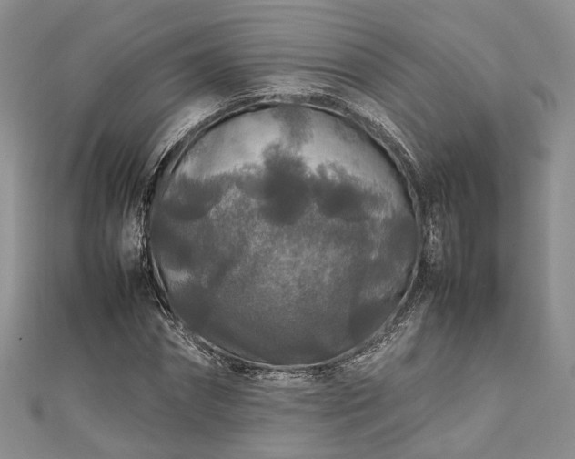 X0000111840874200907301048