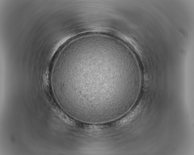 X0000111840875200907301048