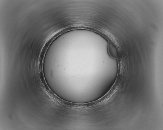 X0000111840876200907301048