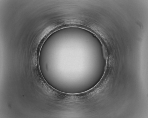 X0000111840877200907301048