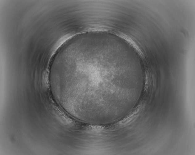 X0000111840878200907301048