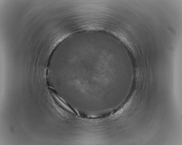 X0000111840881200907301048