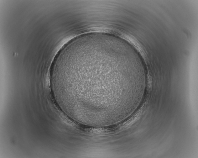 X0000111840883200907301048