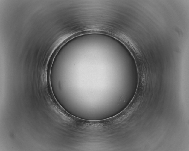 X0000111840884200907301048