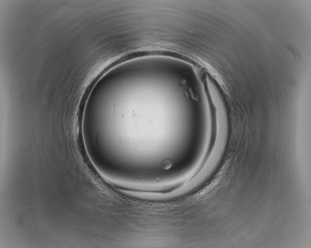 X0000111840885200907301048