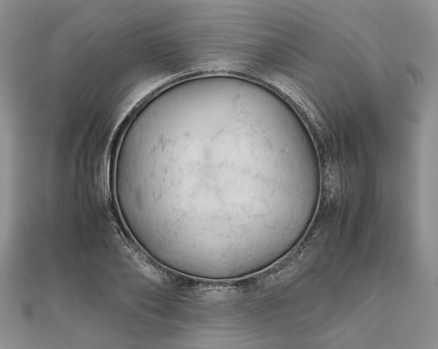 X0000111840886200907301048