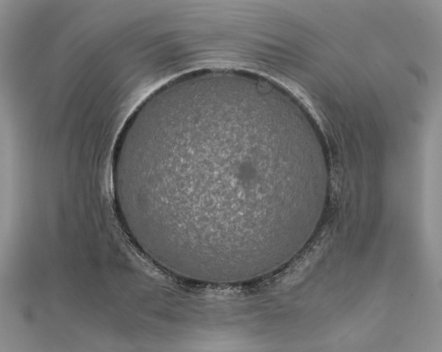 X0000111840887200907301048