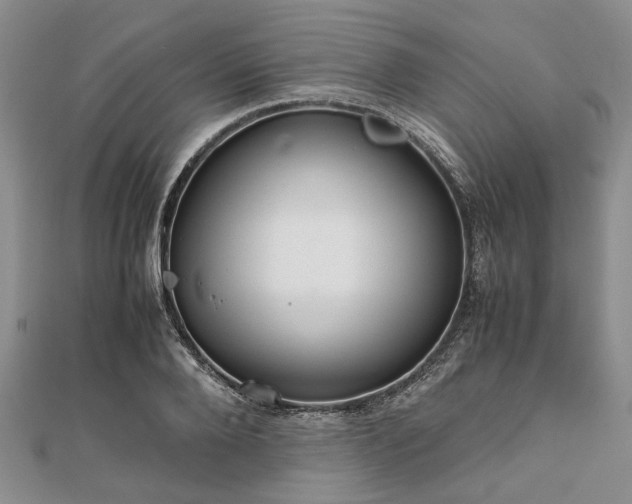 X0000111840888200907301048