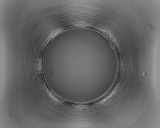 X0000111840889200907301048