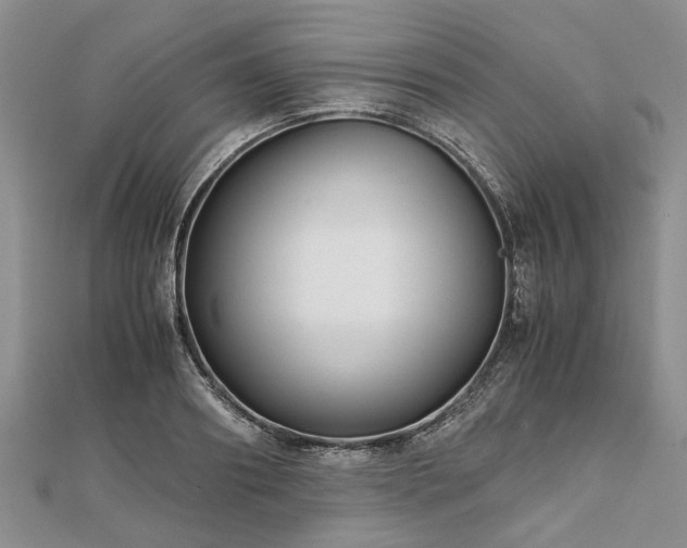 X0000111840890200907301048