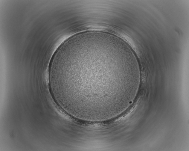 X0000111840891200907301048