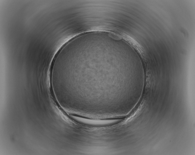 X0000111840892200907301048