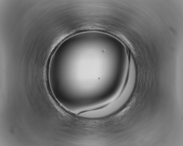 X0000111840893200907301048