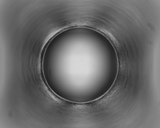 X0000111840894200907301048