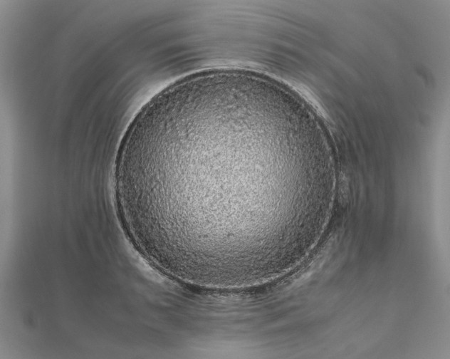 X0000111840895200907301048