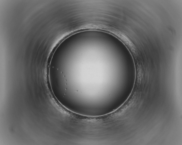 X0000111840896200907301048