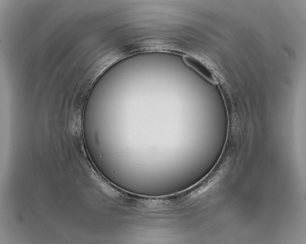 X0000111840897200907301048