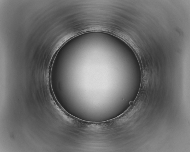 X0000111840898200907301048