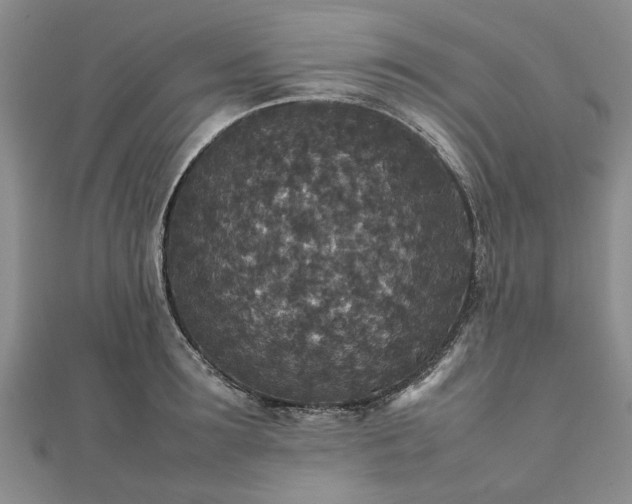 X0000111840899200907301048